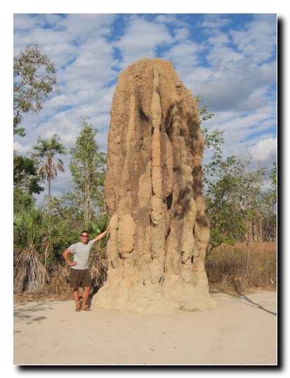 03 Termitenhuegel mit Gaborle